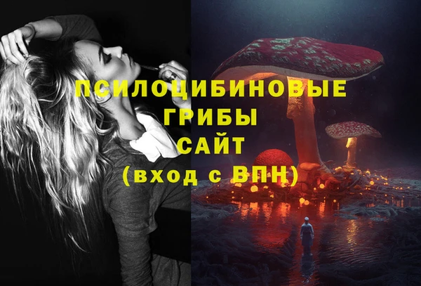 дживик Балахна