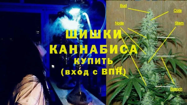 дживик Балахна